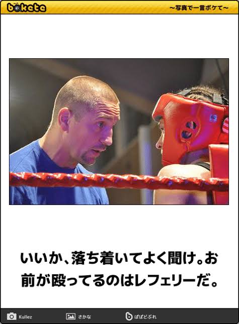 皆の好きなボケて画像が見たいpart2