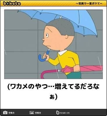 皆の好きなボケて画像が見たいpart2