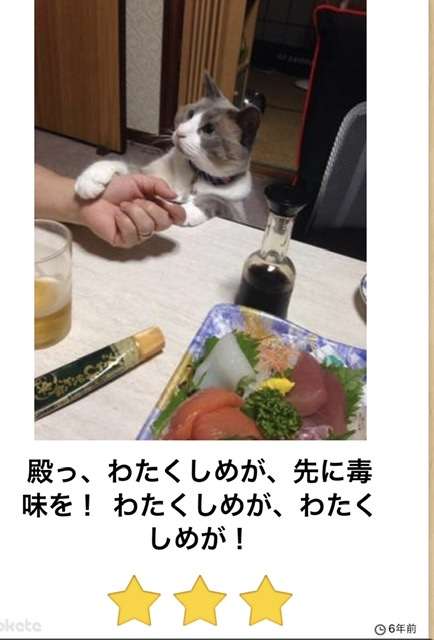 皆の好きなボケて画像が見たいpart2