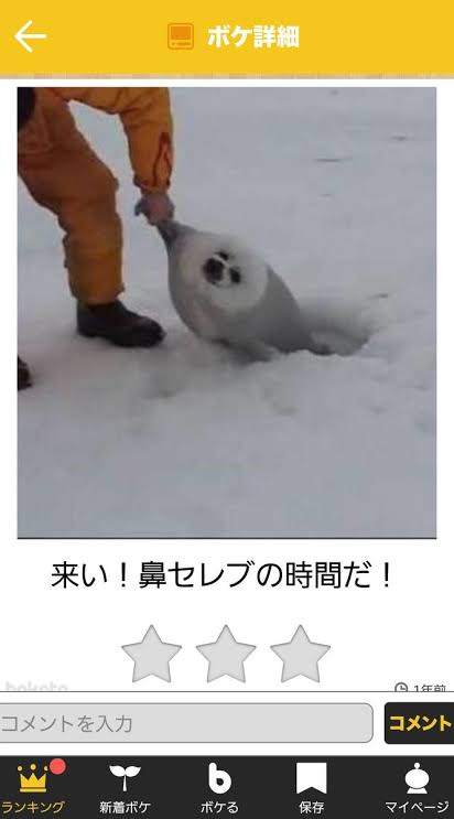 皆の好きなボケて画像が見たいpart2