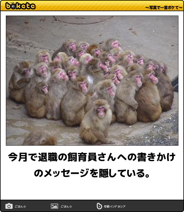 皆の好きなボケて画像が見たいpart2