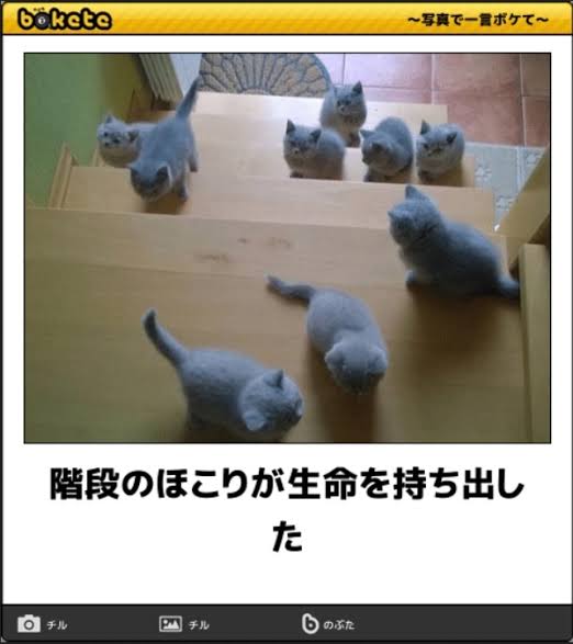 皆の好きなボケて画像が見たいpart2