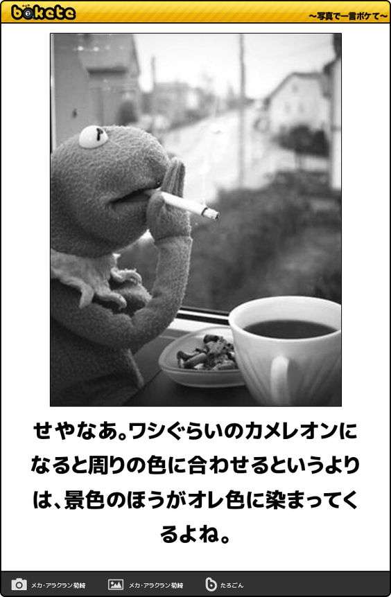 皆の好きなボケて画像が見たいpart2
