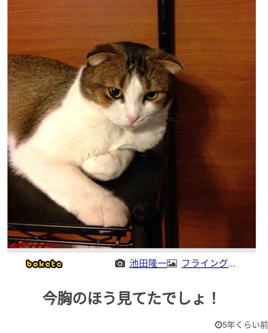皆の好きなボケて画像が見たいpart2