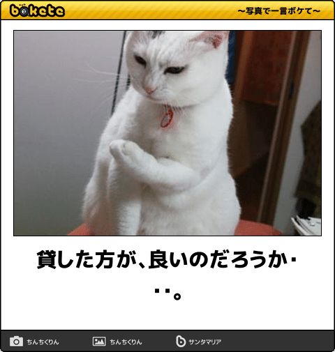 皆の好きなボケて画像が見たいpart2