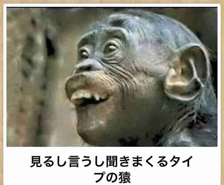 皆の好きなボケて画像が見たいpart2