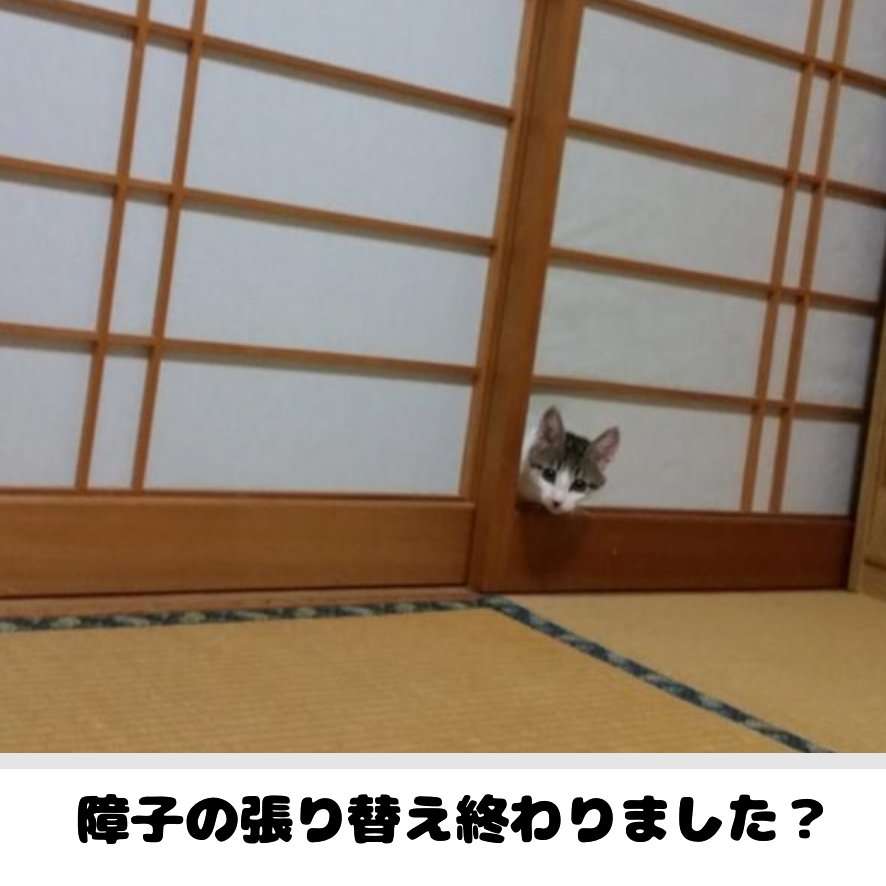 皆の好きなボケて画像が見たいpart2