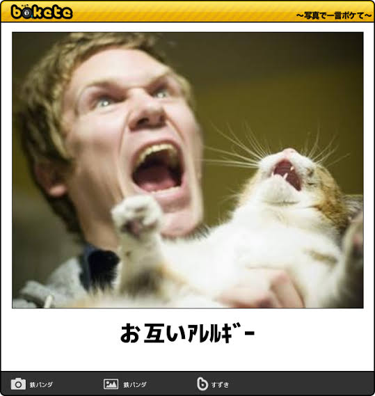 皆の好きなボケて画像が見たいpart2