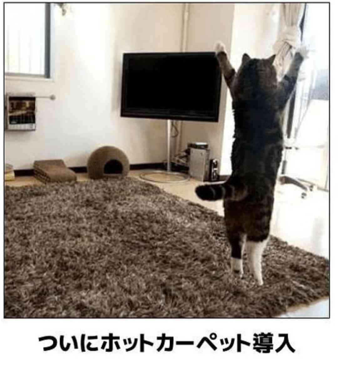 皆の好きなボケて画像が見たいpart2