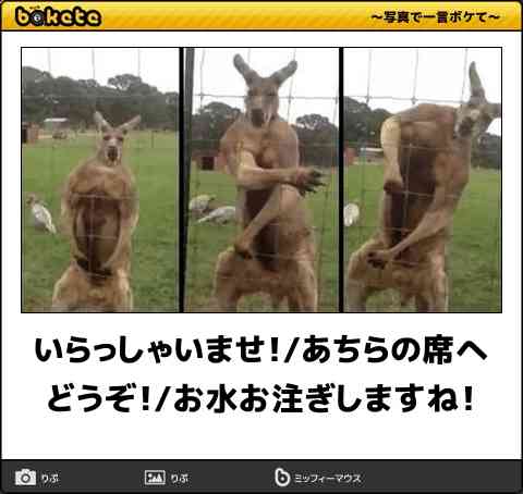 皆の好きなボケて画像が見たいpart2