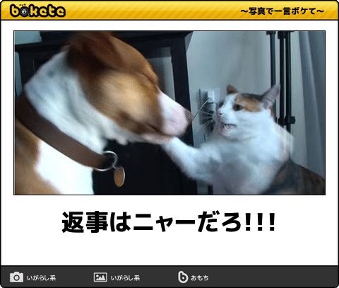 皆の好きなボケて画像が見たいpart2