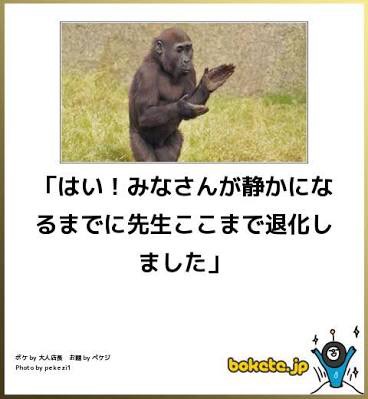 皆の好きなボケて画像が見たいpart2