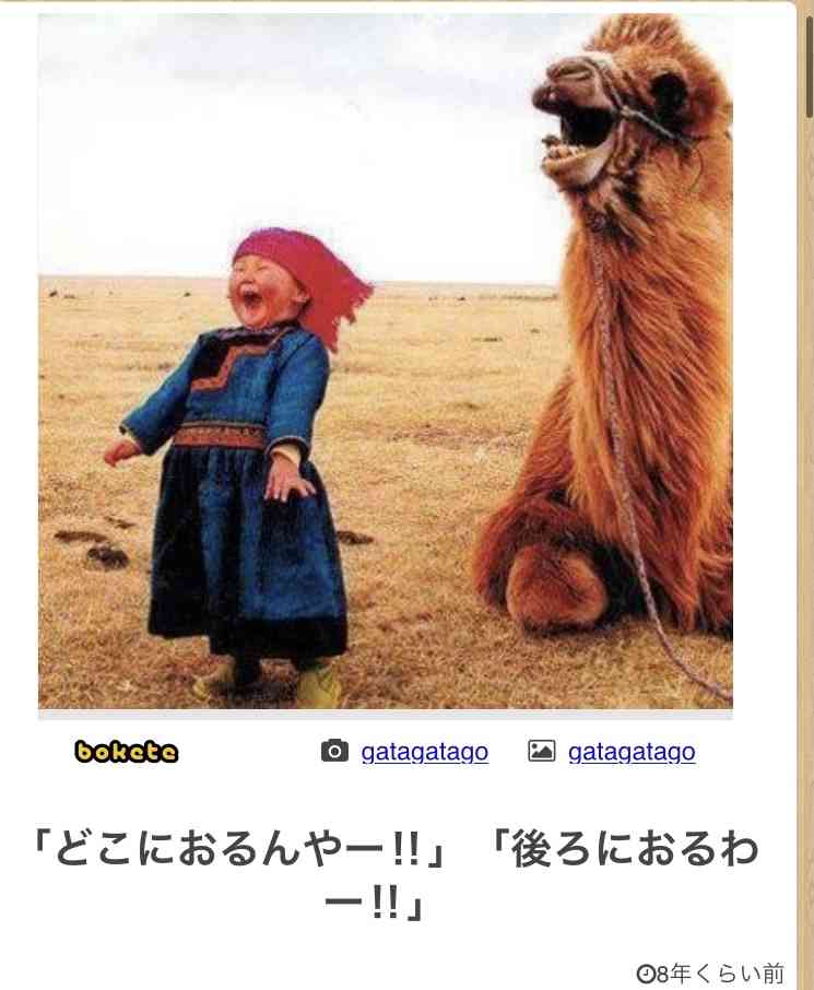皆の好きなボケて画像が見たいpart2