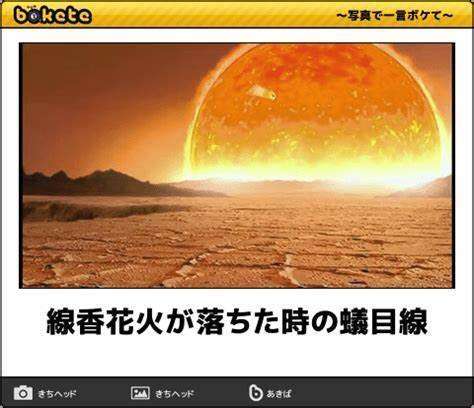 皆の好きなボケて画像が見たいpart2