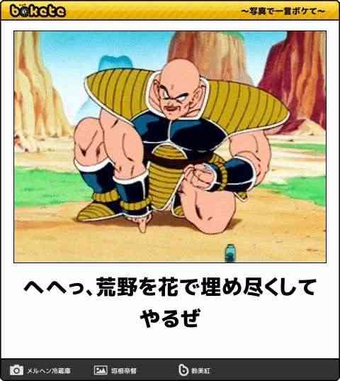 皆の好きなボケて画像が見たいpart2