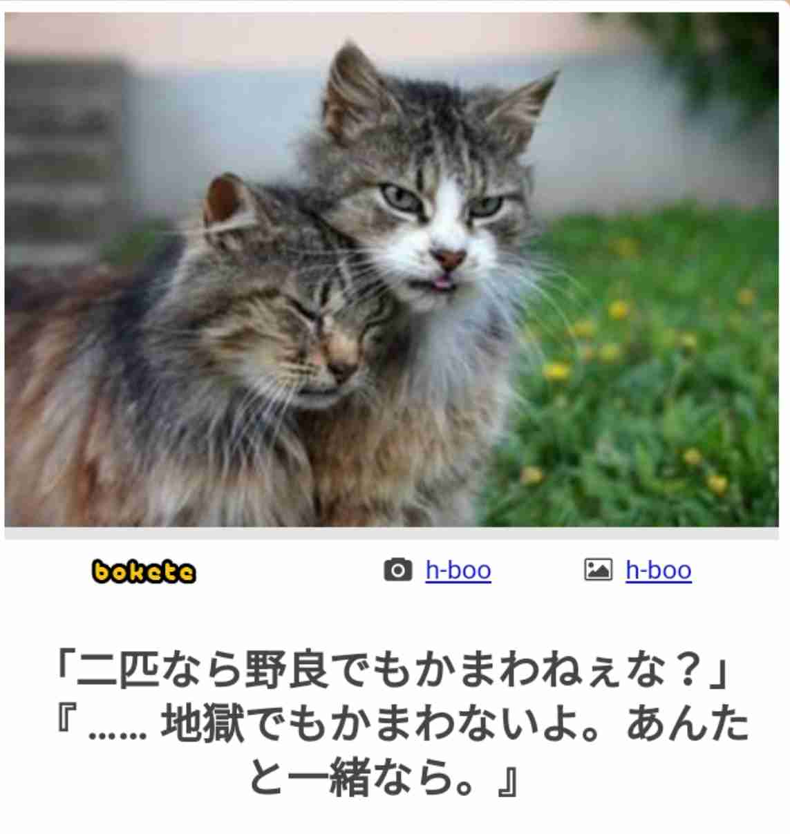 皆の好きなボケて画像が見たいpart2