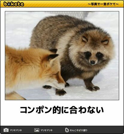 皆の好きなボケて画像が見たいpart2