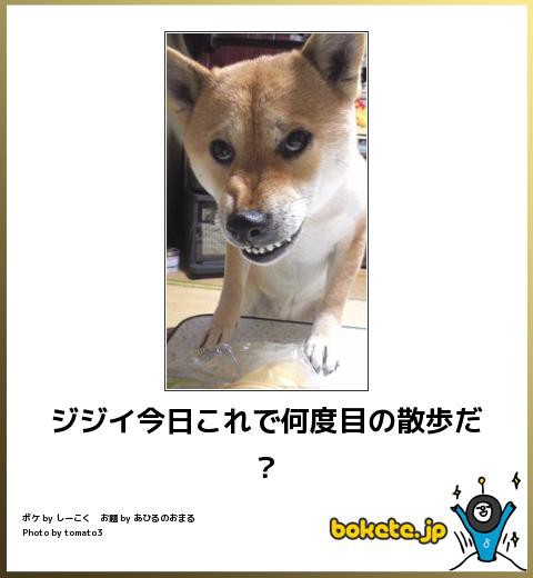 皆の好きなボケて画像が見たいpart2