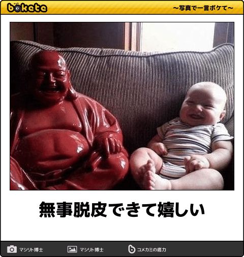 皆の好きなボケて画像が見たいpart2