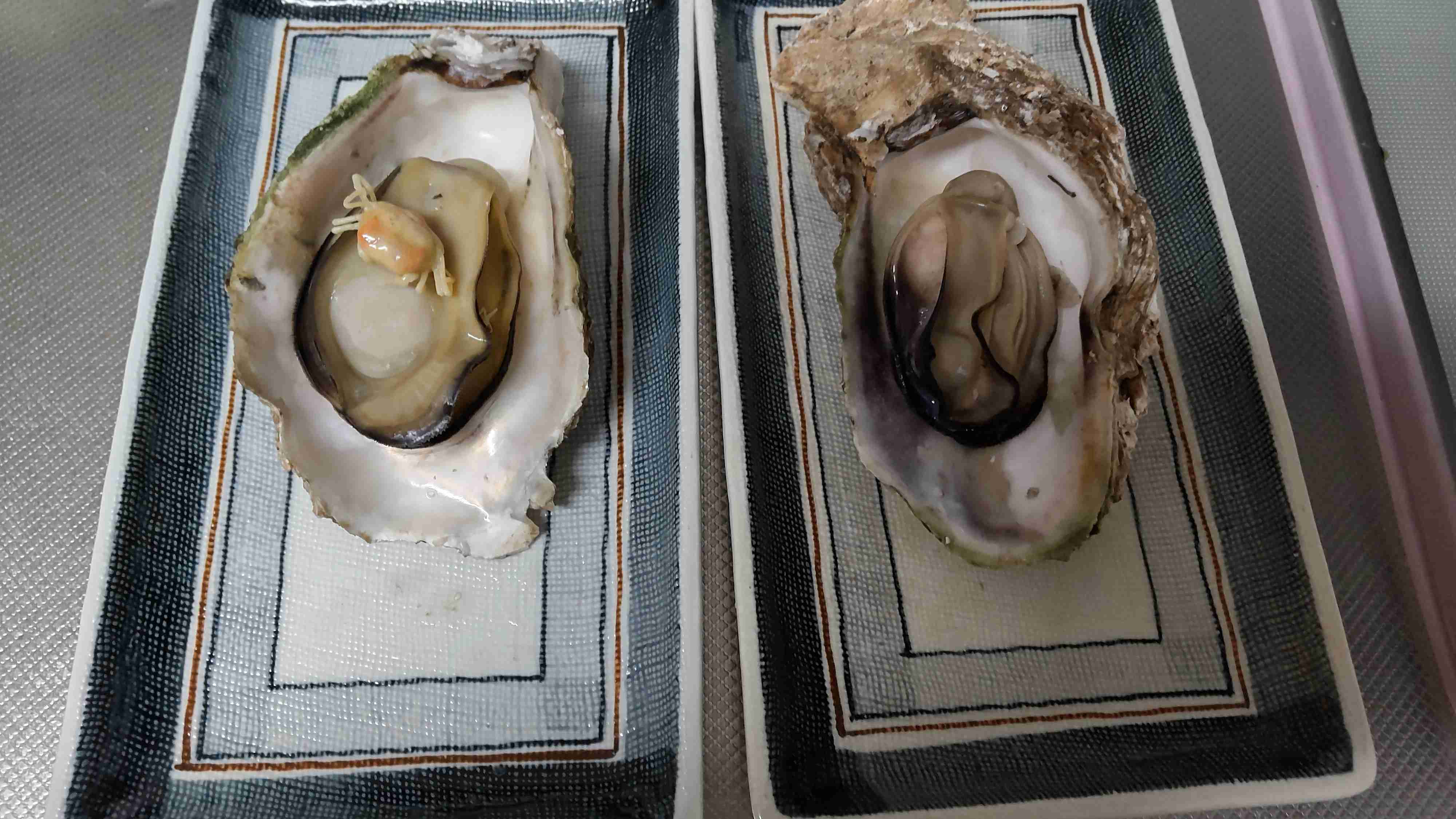 【手作り】おかず一品だけ見せて！