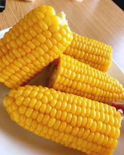 【手作り】おかず一品だけ見せて！