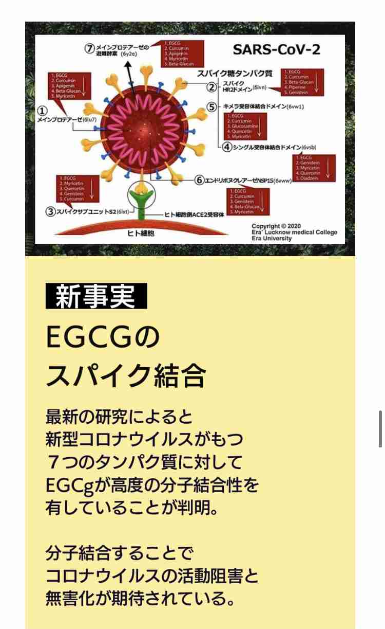 西川史子、右脳内出血で手術　自宅で倒れ発見、救急搬送で手術は成功