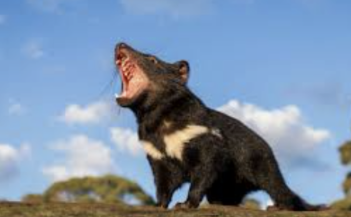 うっせえわを歌ってるように見える画像を貼るトピ