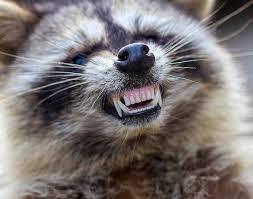 うっせえわを歌ってるように見える画像を貼るトピ