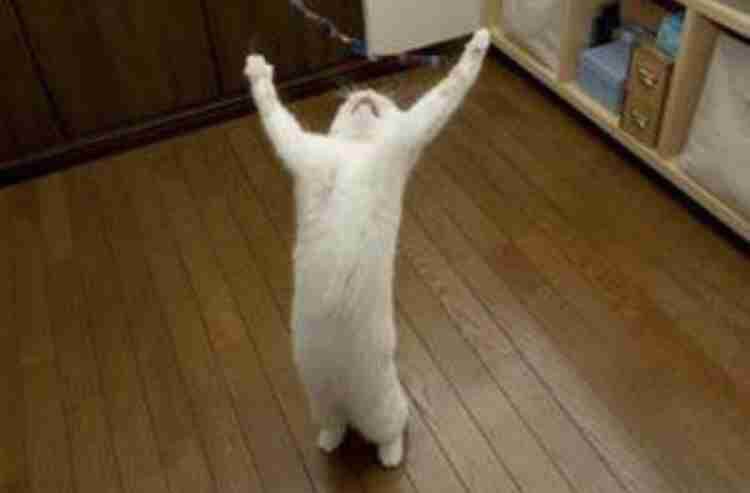 うっせえわを歌ってるように見える画像を貼るトピ