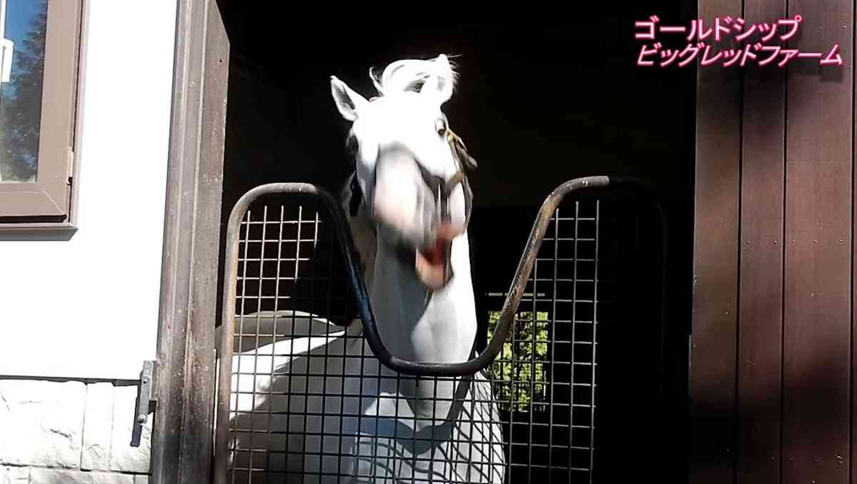 うっせえわを歌ってるように見える画像を貼るトピ