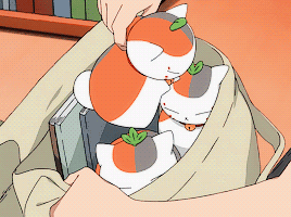 心霊とかグロじゃなくて、怖い(笑)ってなる画像やGIF part 2