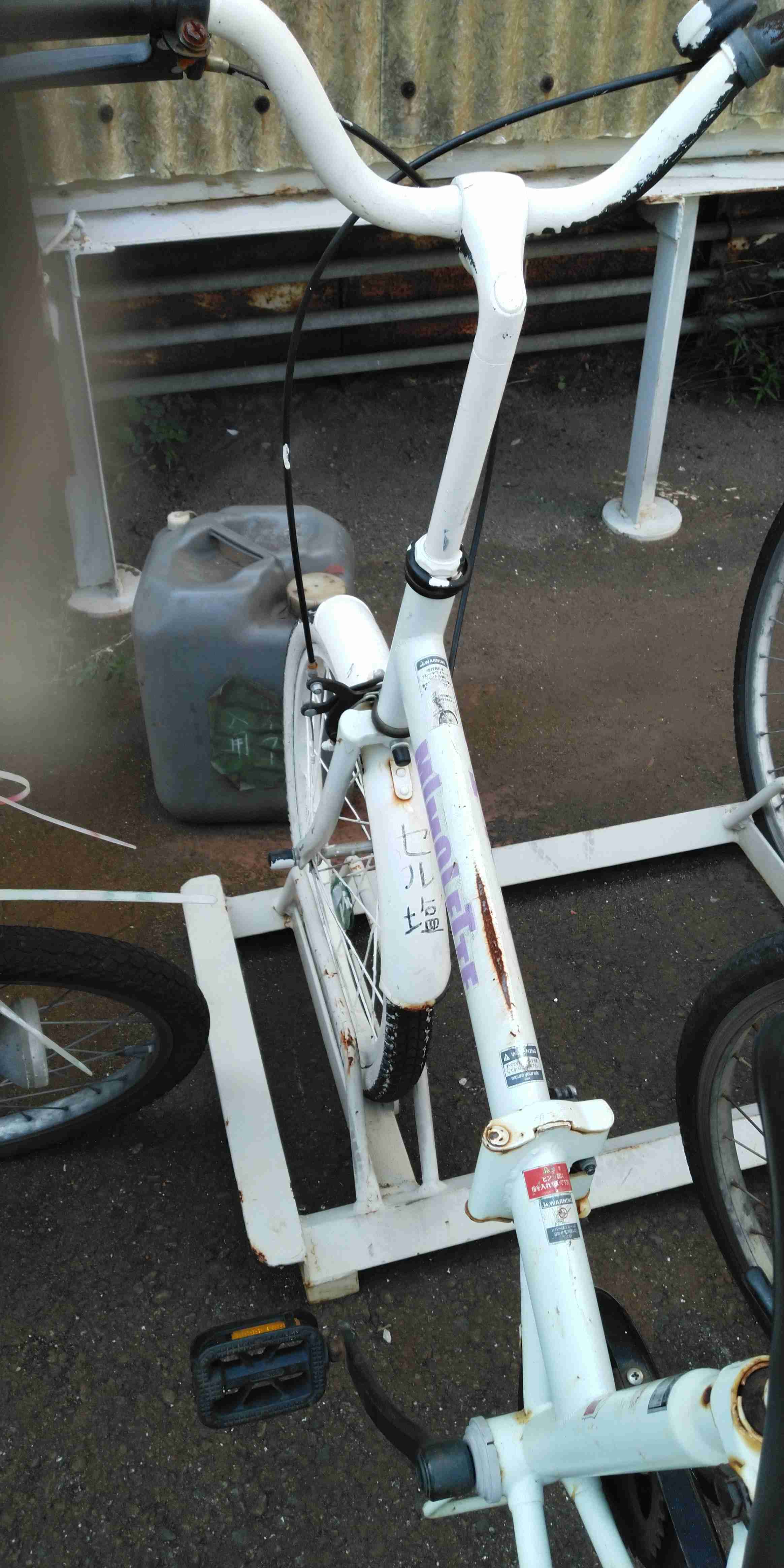 心霊とかグロじゃなくて、怖い(笑)ってなる画像やGIF part 2