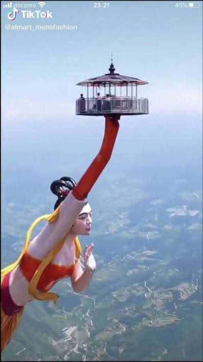 心霊とかグロじゃなくて、怖い(笑)ってなる画像やGIF part 2