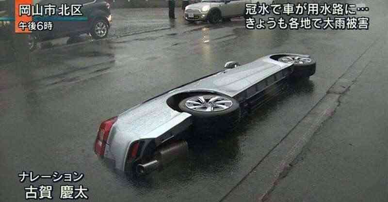 心霊とかグロじゃなくて、怖い(笑)ってなる画像やGIF part 2