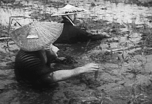 心霊とかグロじゃなくて、怖い(笑)ってなる画像やGIF part 2