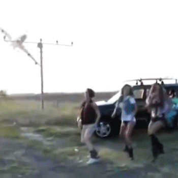 心霊とかグロじゃなくて、怖い(笑)ってなる画像やGIF part 2