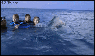 心霊とかグロじゃなくて、怖い(笑)ってなる画像やGIF part 2