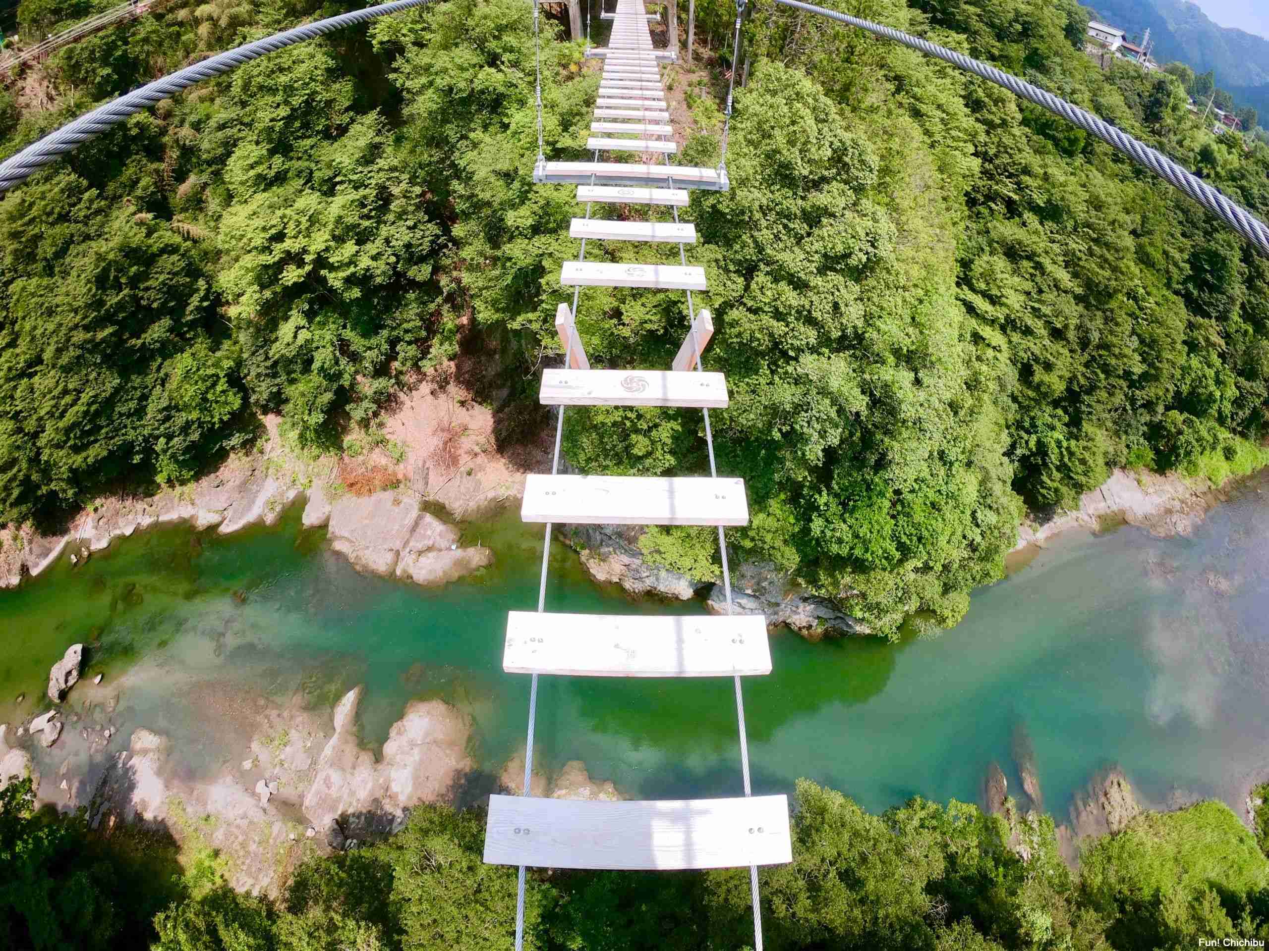 心霊とかグロじゃなくて、怖い(笑)ってなる画像やGIF part 2