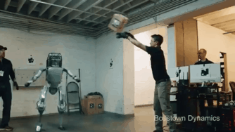 心霊とかグロじゃなくて、怖い(笑)ってなる画像やGIF part 2