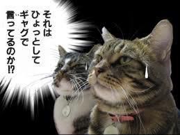 喧嘩になる度に別れようと言われる
