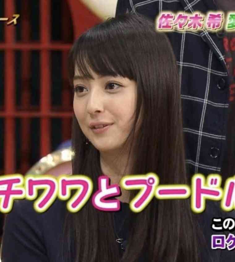さらさらストレートヘアの佐々木希に「1番かわいい！」「茶髪が似合う」と絶賛の声