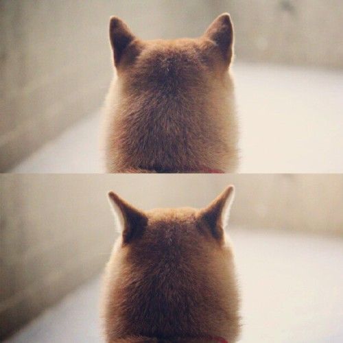 友達がいなくて寂しい人の集いpart2