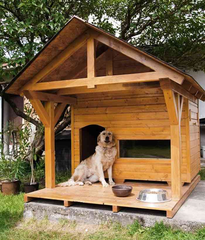 外で犬飼ってる人いますか?