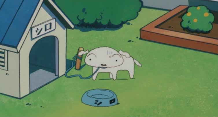 外で犬飼ってる人いますか?
