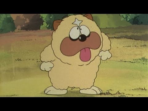 外で犬飼ってる人いますか?