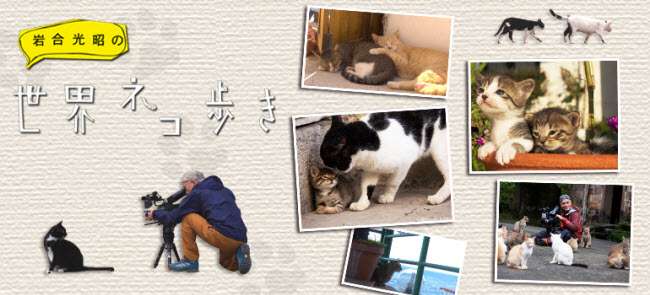 見ると穏やかな気持ちになる番組