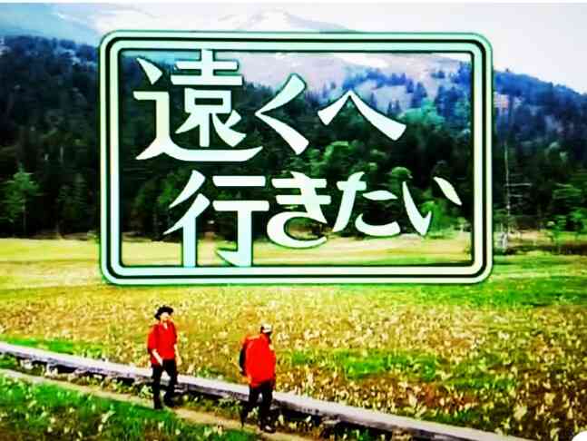 見ると穏やかな気持ちになる番組