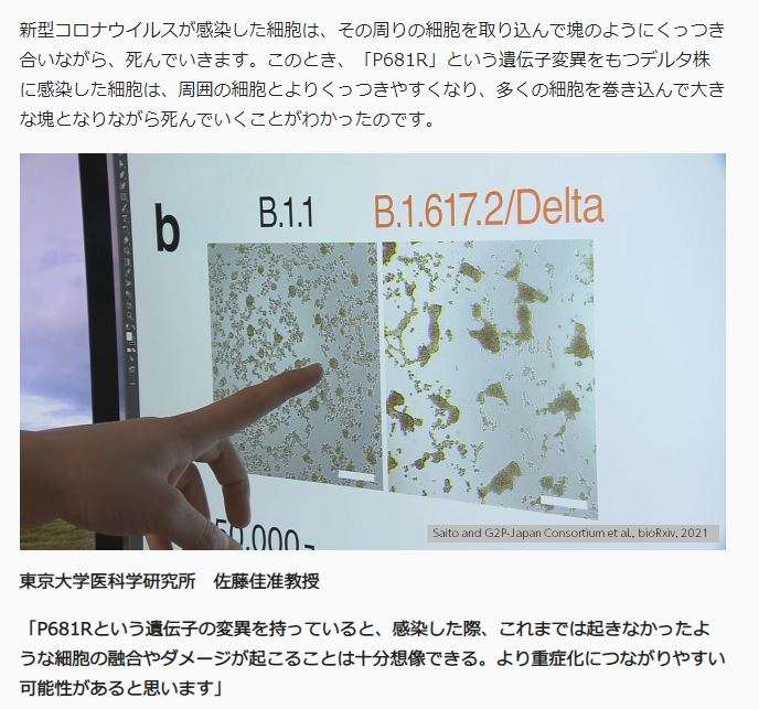 都内のコロナ陽性率20％超えは「はっきり言って異常」　ウイルス研究者が警告