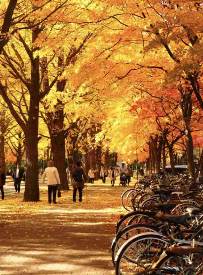 【実況・感想】東京2020オリンピック 総合トピ 8月6日