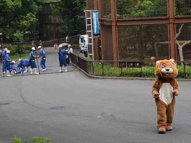 動物園の捕獲訓練がみたい🐻